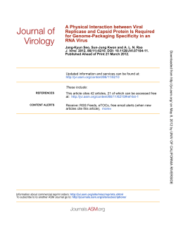 RNA Virus for Genome-Packaging Specificity in an Replicase and