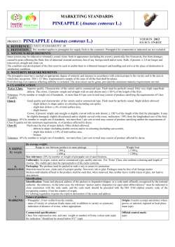 PRODUCT: MELON (Cucumis melo l