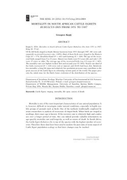 MORTALITY IN SOUTH AFRICAN CATTLE EGRETS BUBULCUS