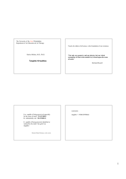 Tangible Virtualities