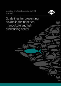Guidelines for presenting claims in the fisheries