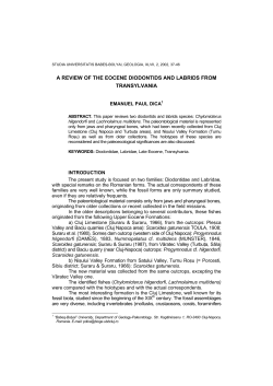 A review of the Eocene Diodontids and Labrids from Transylvania