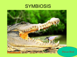 PowerPoint Presentation - Symbiosis