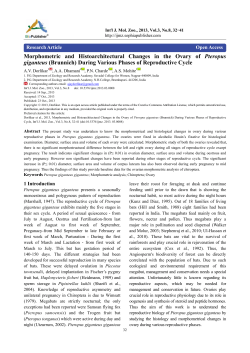 Morphometric and Histoarchitectural Changes in the