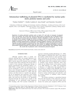 Intranuclear trafficking of plasmid DNA is mediated by nuclear poly