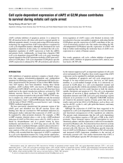Cell cycle-dependent expression of cIAP2 at G2/M phase