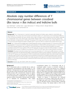 Absolute copy number differences of Y chromosomal genes