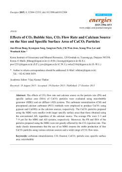 Effects of CO2 Bubble Size, CO2 Flow Rate and Calcium Source on