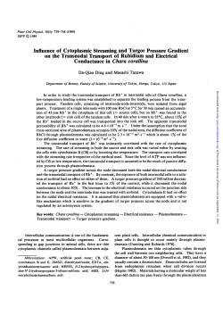 Influence of Cytoplasmic Streaming and Turgor Pressure Gradient