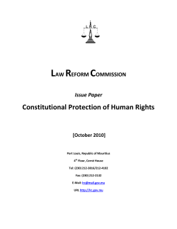 Issue Paper on "Constitutional Protection of Human Rights" (October