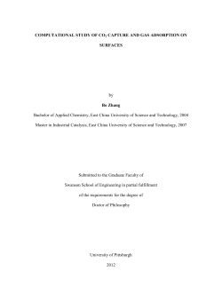 COMPUTATIONAL STUDY OF CO2 CAPTURE AND GAS