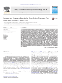Brain size and thermoregulation during the evolution of the genus