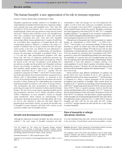 The human basophil: a new appreciation of its role
