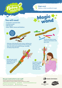 Magic wand making activity for kids &ndash; Nature Detectives