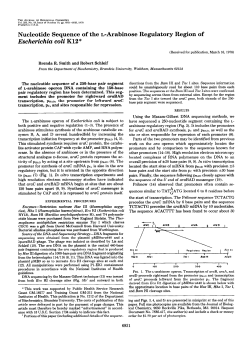 Nucleotide Sequence of the L-Arabinose Regulatory Region of