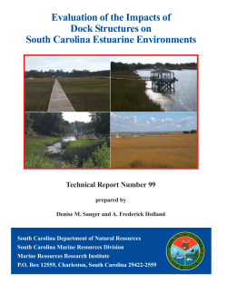 Evaluation of the Impacts of Dock Structures on South Carolina