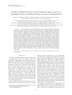 Positive feedback between chironomids and algae creates net