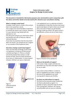Surgery for Benign Scrotal Lumps