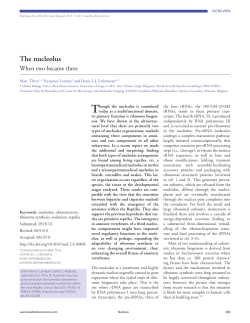 The nucleolus - Lafontaine Lab