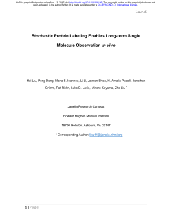 Stochastic Protein Labeling Enables Long