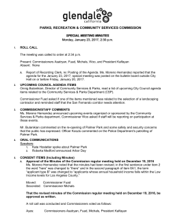 Minutes of the Commission special meeting held