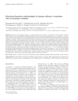 Structure-function relationships in human salivary &alpha;