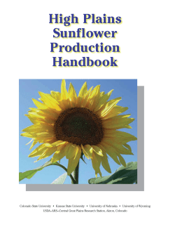 MF2384 High Plains Sunflower Production