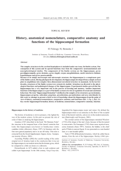 History, anatomical nomenclature, comparative anatomy and