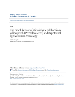 The establishment of a fibroblastic cell line from yellow perch (Perca