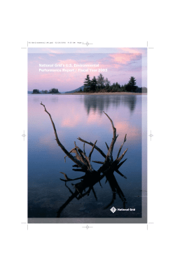 National Grid`s U.S. Environmental Performance Report / 2003