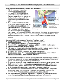 ADH - Antidiuretic Hormone &ndash; makes you &ldquo;pee less&rdquo;! &bull; ADH is a
