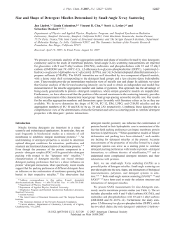 Size and Shape of Detergent Micelles Determined by Small
