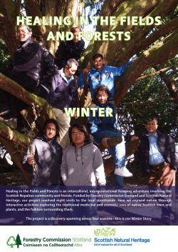 healing in the fields and forests winter