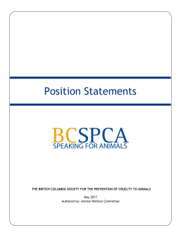 Position Statement Template