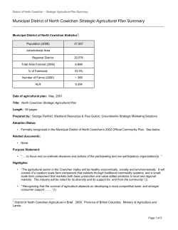 Appendix B N Cowichan Plan Summary