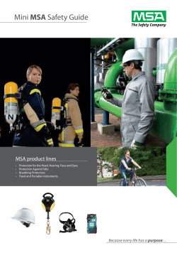 Mini MSA Safety Guide