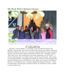 My Week With California Chrome