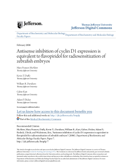 Antisense inhibition of cyclin D1 expression is equivalent to
