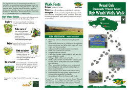 Broad Oak - Welly walk