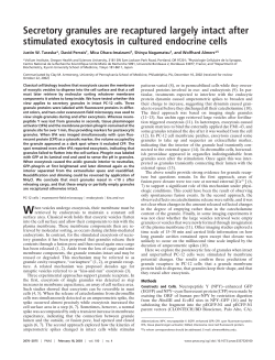 Secretory granules are recaptured largely intact after stimulated