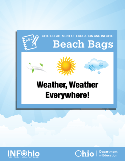 Beach Bags