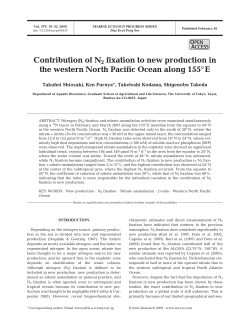 Contribution of N2 fixation to new production in the western North