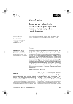 Carbohydrate metabolism in ectomycorrhizas: gene expression