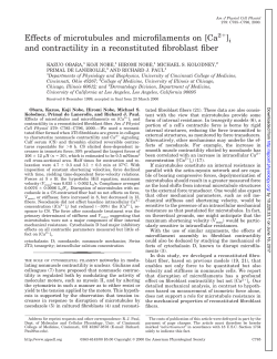 Effects of microtubules and microfilaments on [Ca ]i and contractility