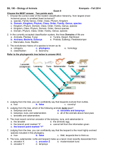 BIL 106 – Biology of Animals Krempels – Fall 2014 Exam II Choose