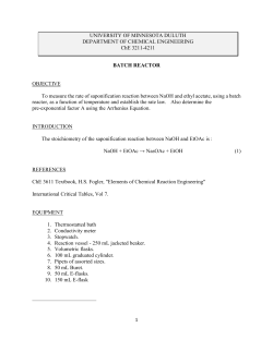 Batch Reactor (PDF file) - University of Minnesota Duluth