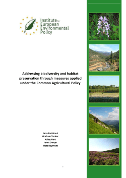 Addressing biodiversity and habitat preservation