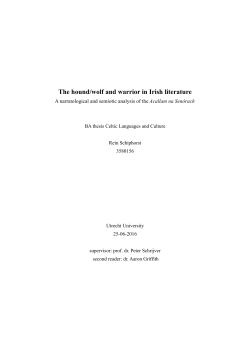 The hound/wolf and warrior in Irish literature