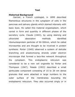 Smooth Endoplasmic Reticulum or Agaranular Endoplasmic