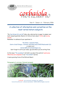 A collection of information and curiosities on the most